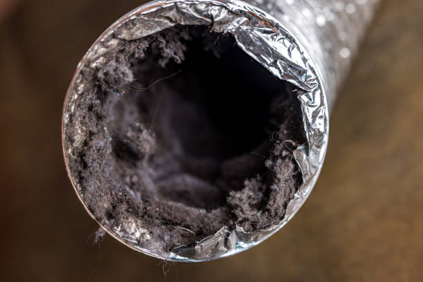 Best Affordable Air Duct Cleaning  in Artondale, WA