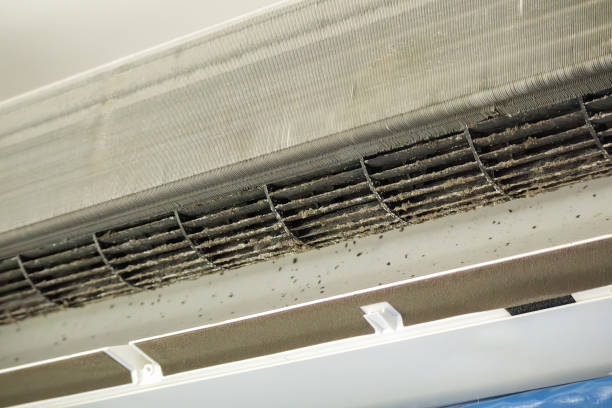 Best Air Duct Cleaning Near Me in WA