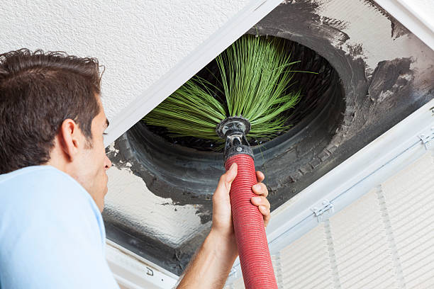 Best Dryer Vent Cleaning Services  in Artondale, WA